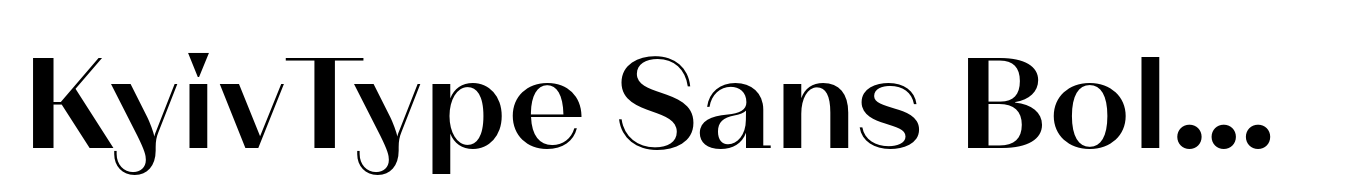 KyivType Sans Bold3